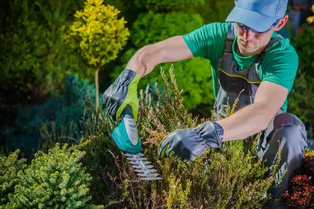 landscaping services Mount Repose